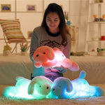 The Glow Dog™ Night Light